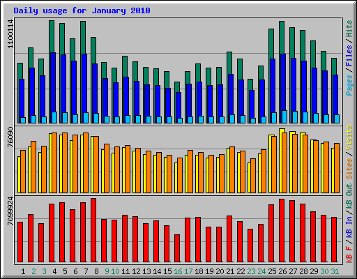 Daily usage for January 2010