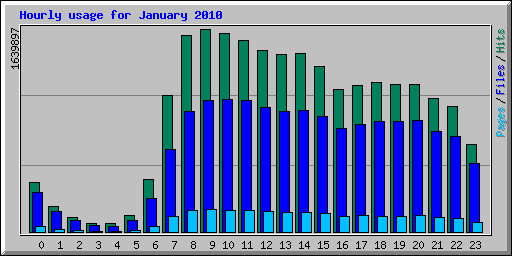 Hourly usage for January 2010